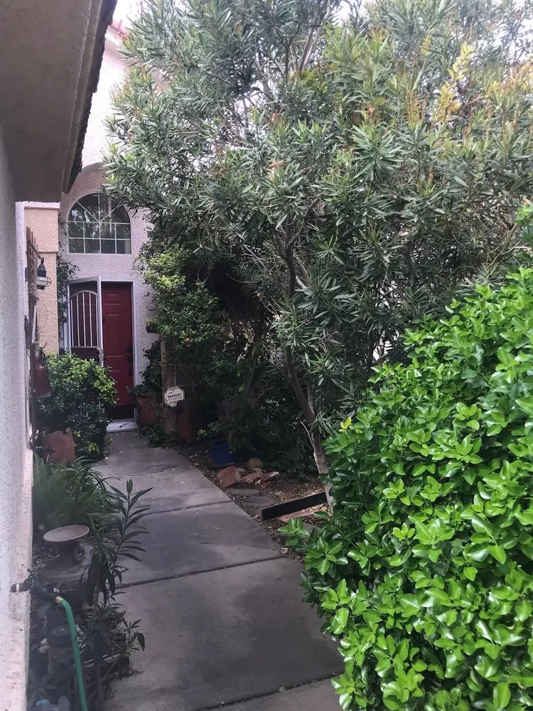 Custom landscape design for outdoor upgrades across Las Vegas, NV - La Firma Landscape