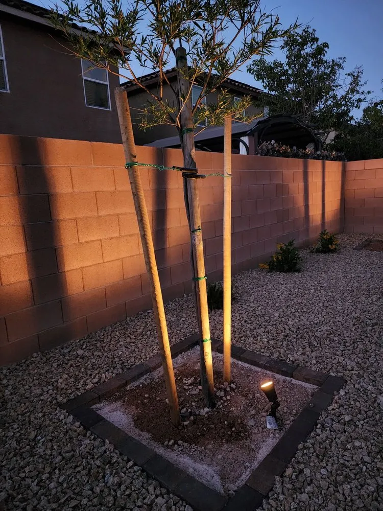 Professional outdoor landscaping in Las Vegas, NV by La Firma Landscape