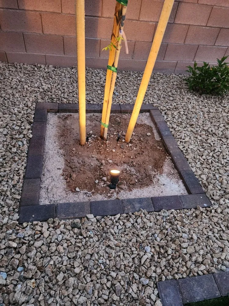 Reliable landscaping services in Las Vegas, NV by La Firma Landscape