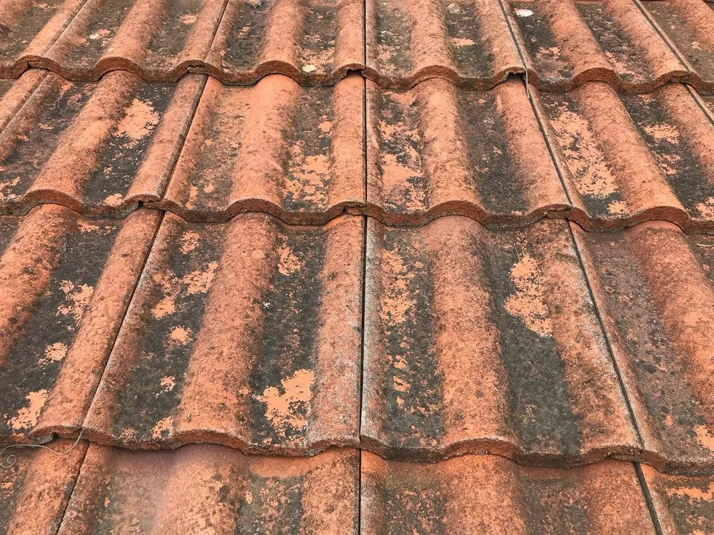 Trusted outdoor landscaping for outdoor upgrades across Sherman oaks, CA - LA Green Development