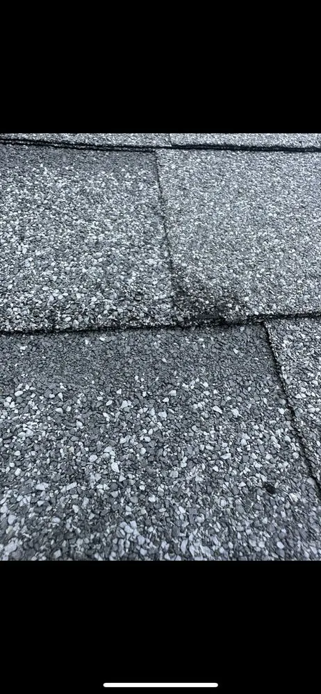 Expert yard maintenance in Sherman oaks, CA by LA Green Development