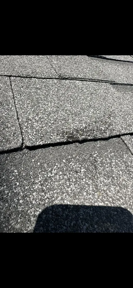 Top-rated landscape installation with custom design in Sherman oaks, CA by LA Green Development