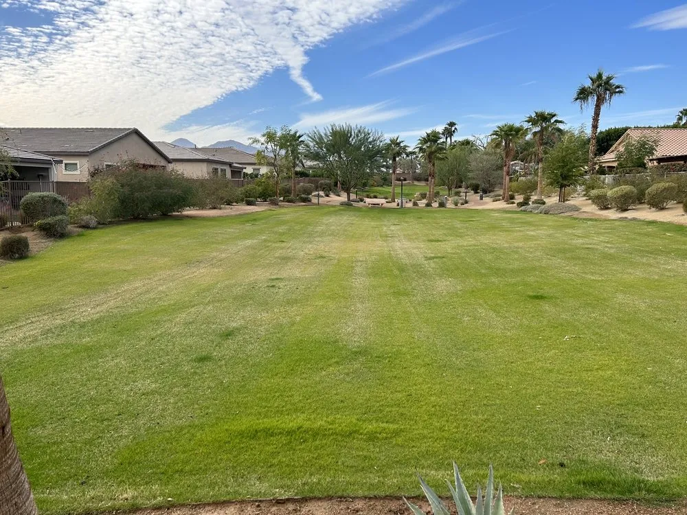 Affordable landscaping services in Indio, CA by La Hacienda Nursery & Landscape