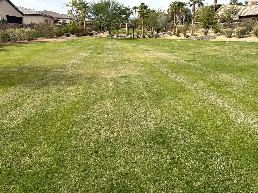 Custom landscape design for homes across Indio, CA - La Hacienda Nursery & Landscape