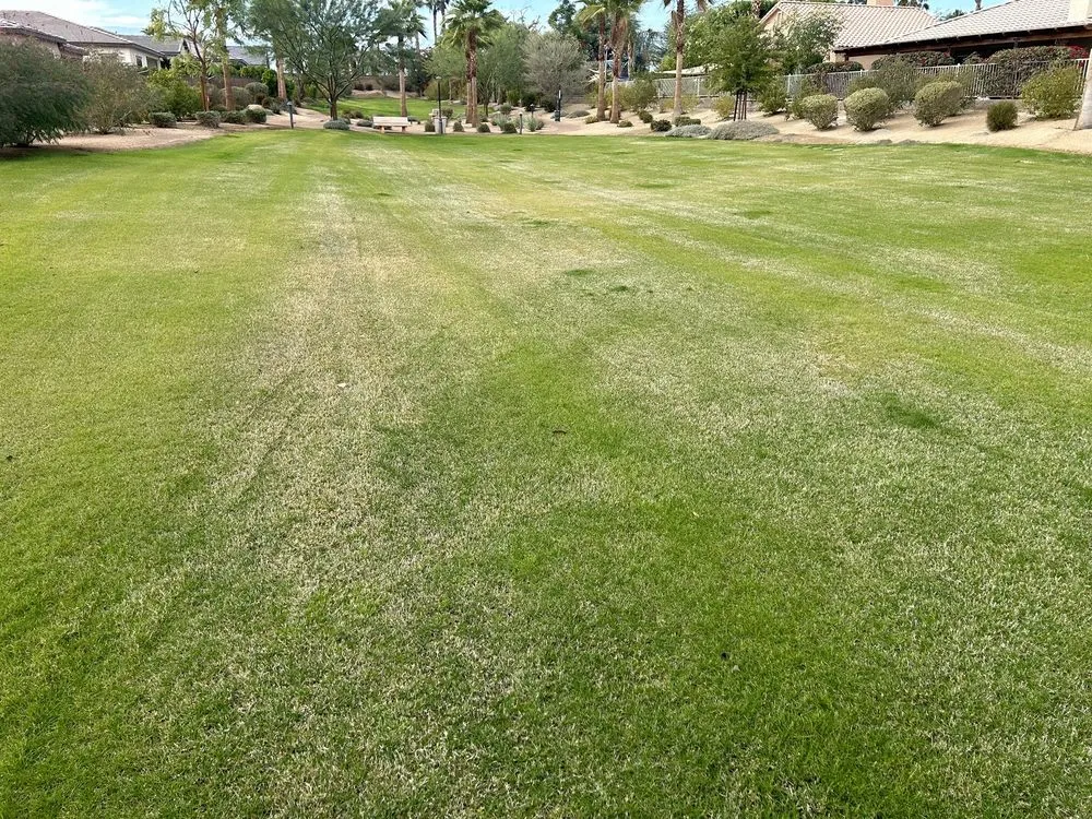 Custom landscape installation experts serving Indio, CA - La Hacienda Nursery & Landscape