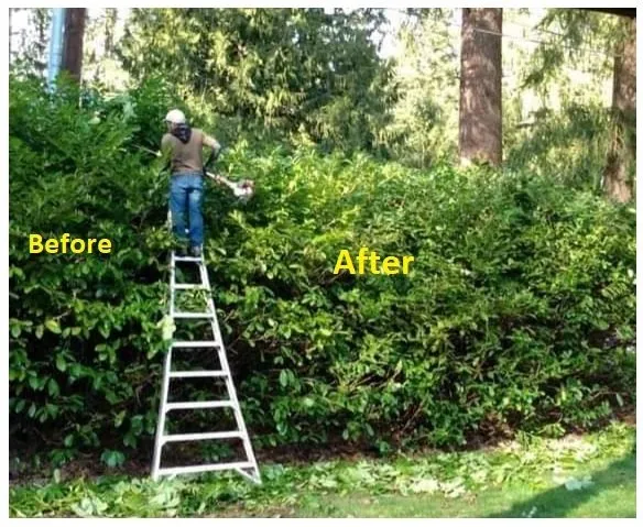 Expert landscape design with custom design in Kent, WA by La Hermosa Landscapes