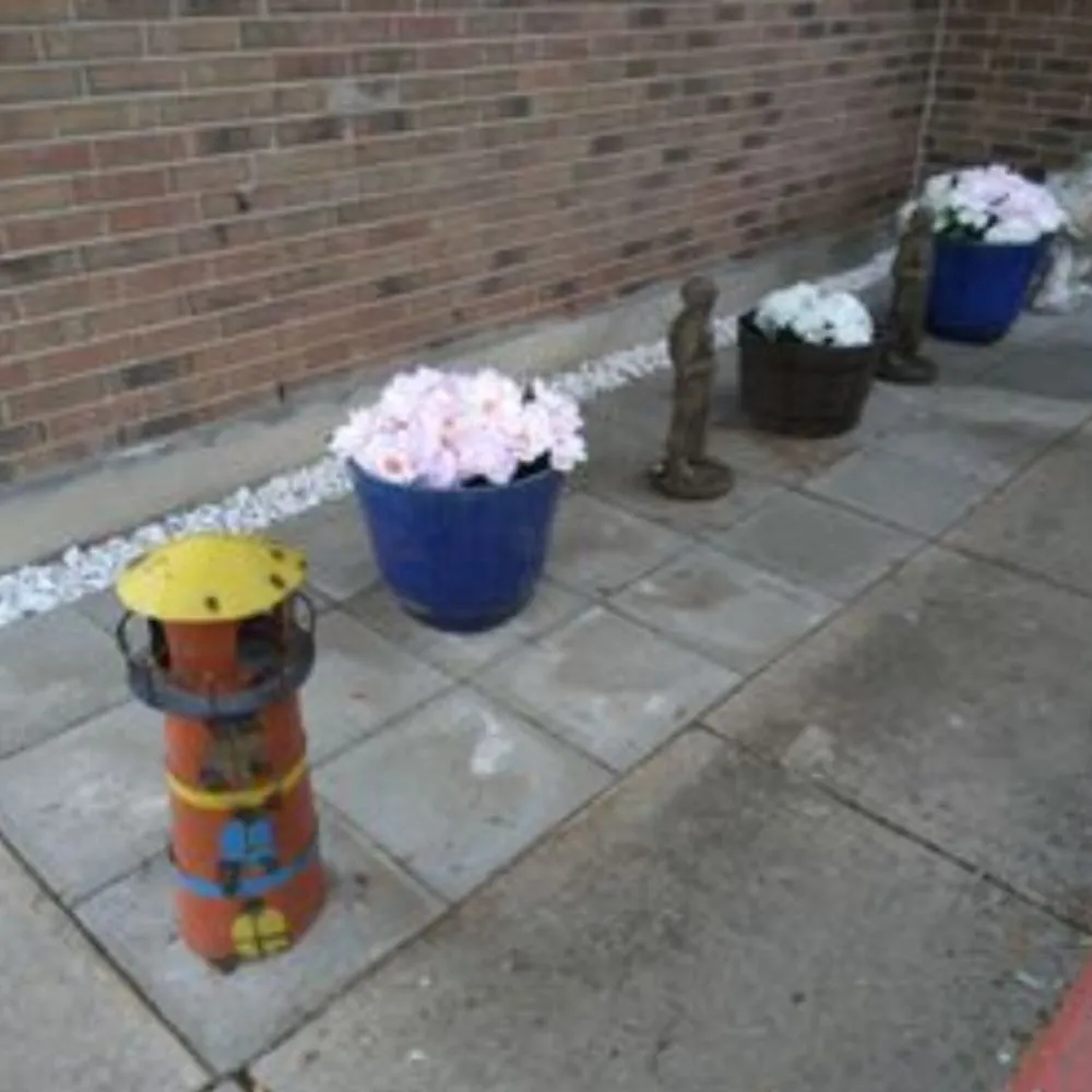 Expert yard maintenance in San Antonio, TX by La Isla Del Mar