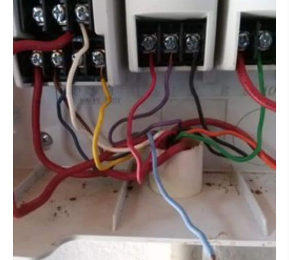 Expert landscape design in San Antonio, TX - La Isla Del Mar