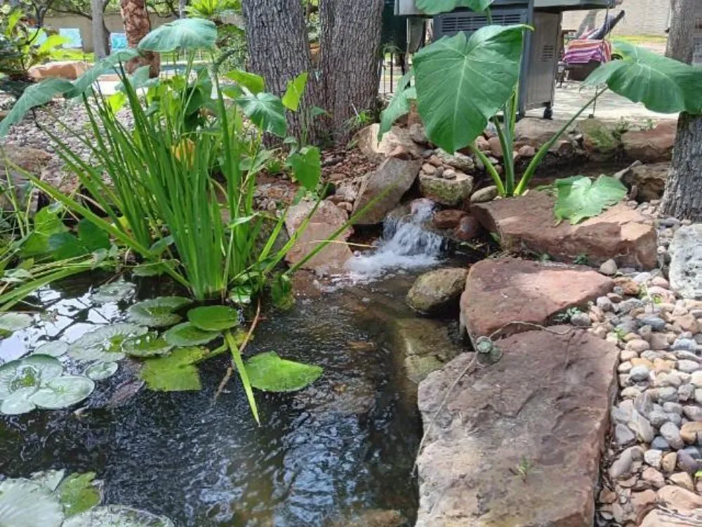 Top-rated residential landscaping with custom design in San Antonio, TX by La Isla Del Mar