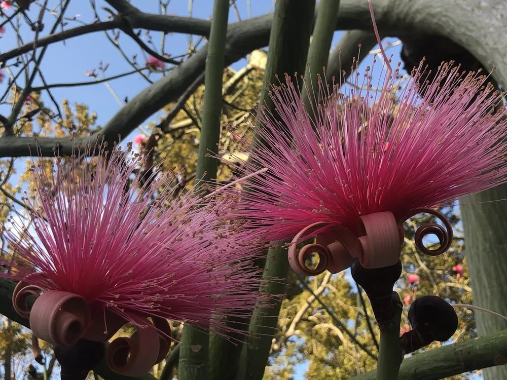 Reliable garden landscaping experts serving Islamorada, FL - La Isla Tree Care