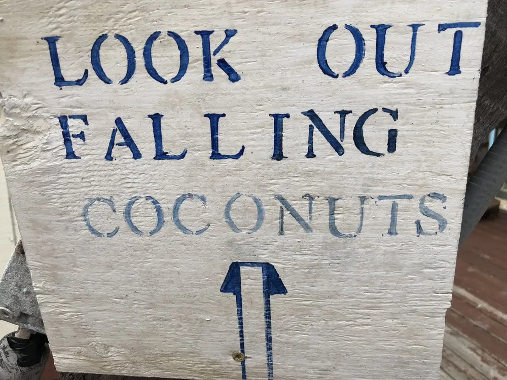 Reliable landscape installation for beautiful yards in Islamorada, FL by La Isla Tree Care