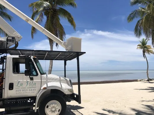 La Isla Tree Care
