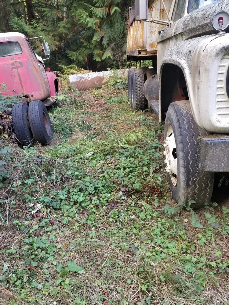 Custom lawn mowing service experts serving Bremerton, WA - LA Kings