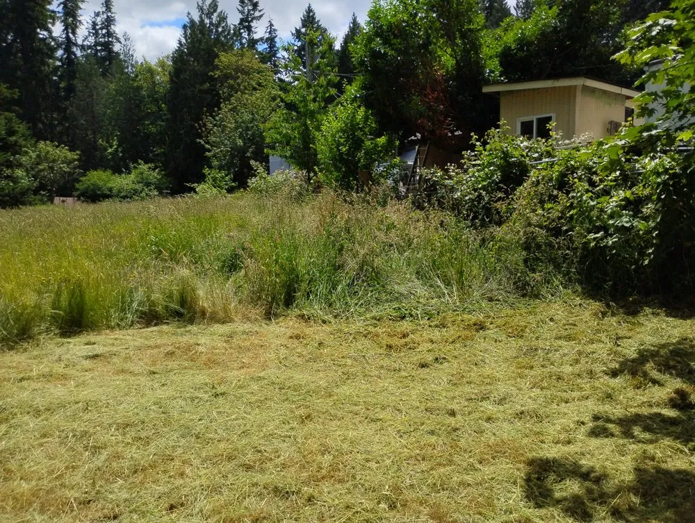 Trusted lawn mowing service with custom design across Bremerton, WA - LA Kings