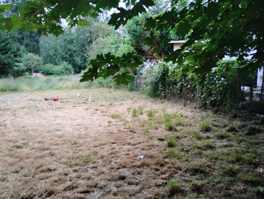 Affordable yard maintenance for year-round maintenance in Bremerton, WA by LA Kings