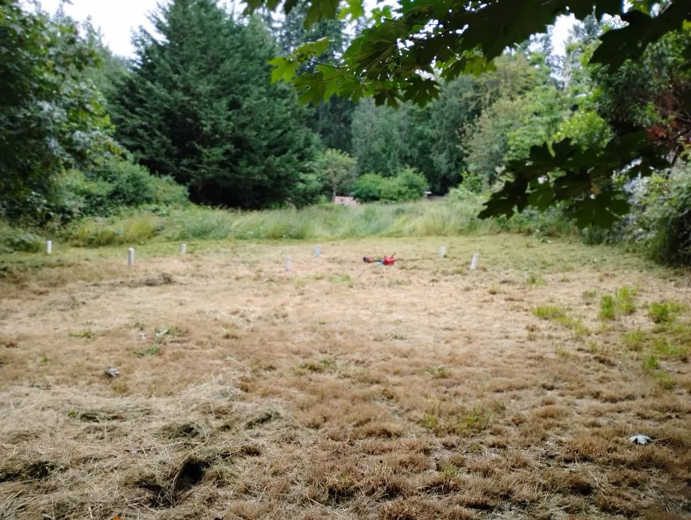 Custom landscape installation in Bremerton, WA - LA Kings