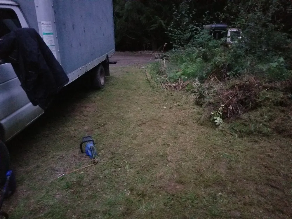 Expert lawn care service near you in Bremerton, WA by LA Kings