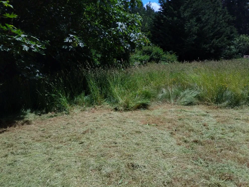 Local garden landscaping in Bremerton, WA - LA Kings