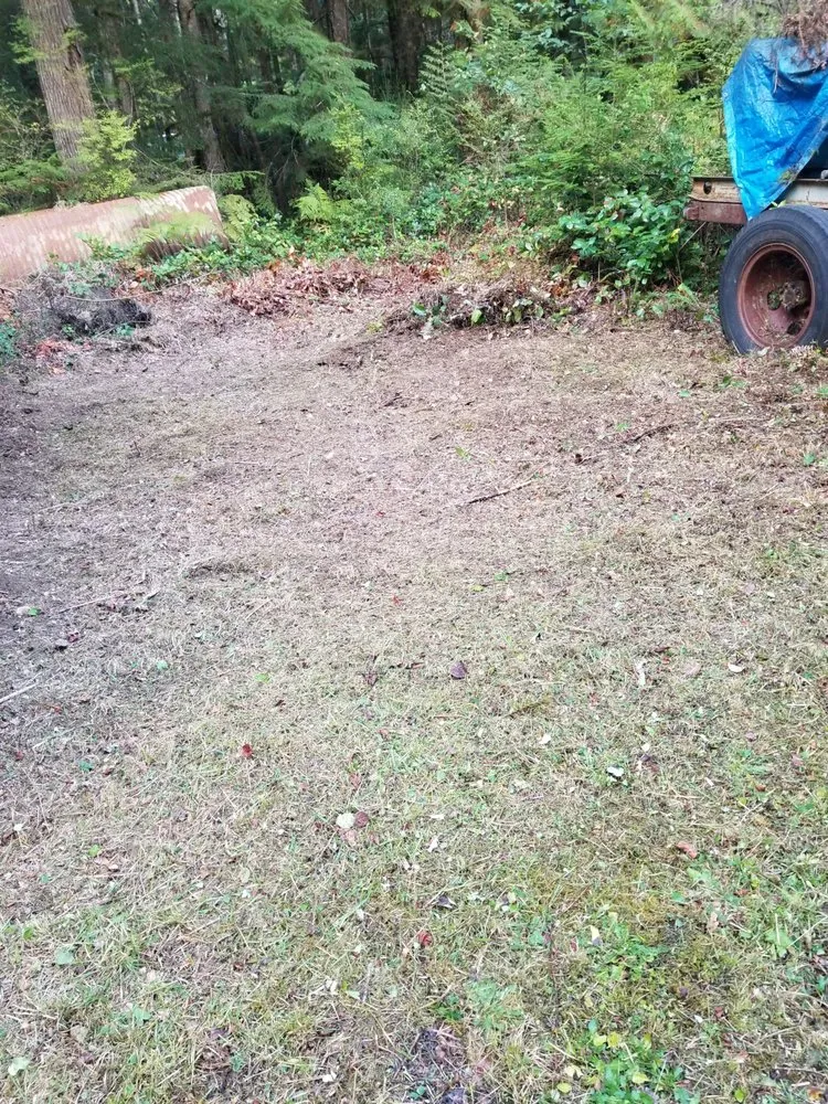 Top-rated garden landscaping in Bremerton, WA - LA Kings