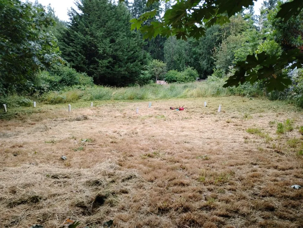 Trusted lawn mowing service experts serving Bremerton, WA - LA Kings