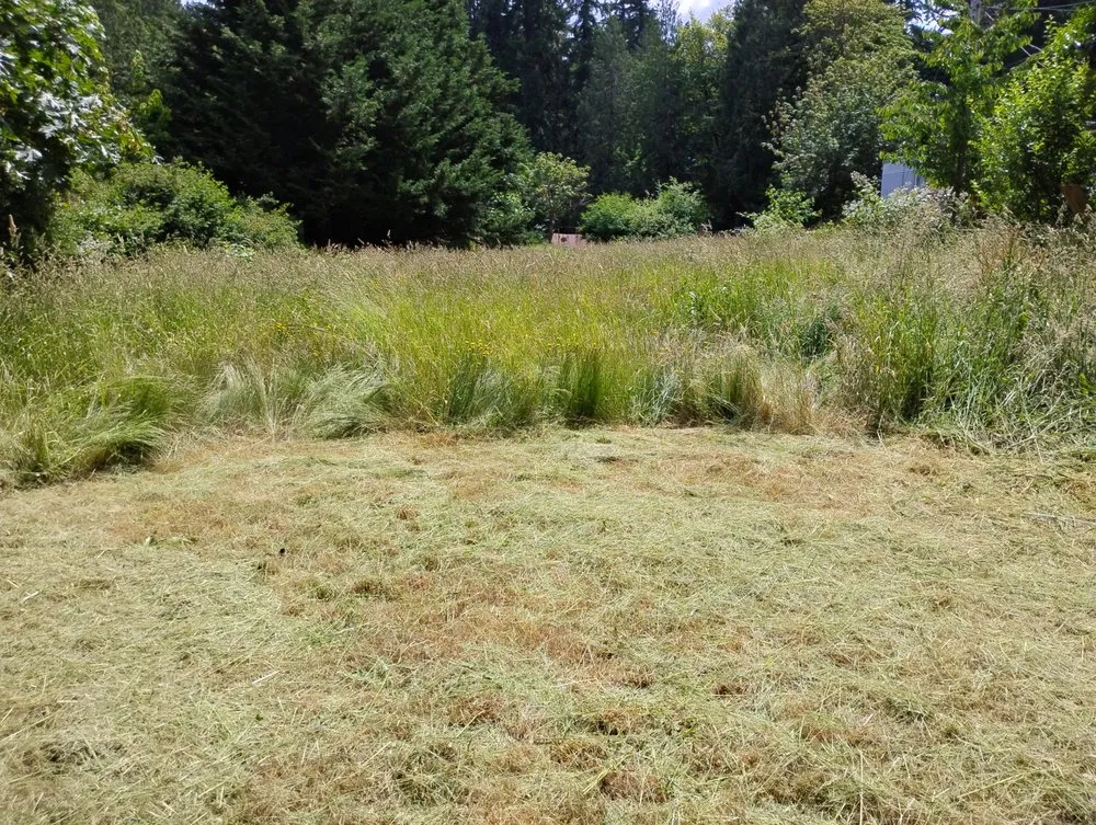 Top-rated residential landscaping in Bremerton, WA by LA Kings