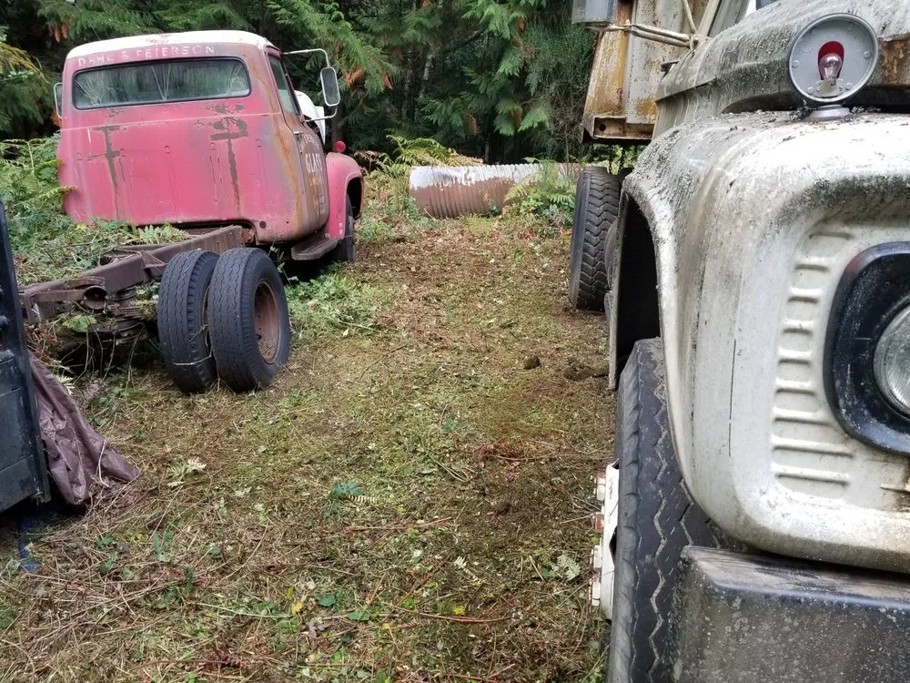 Affordable yard maintenance near you across Bremerton, WA - LA Kings