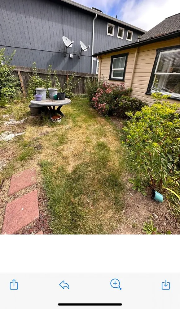 Expert lawn care service in Seattle, WA by LA landscape