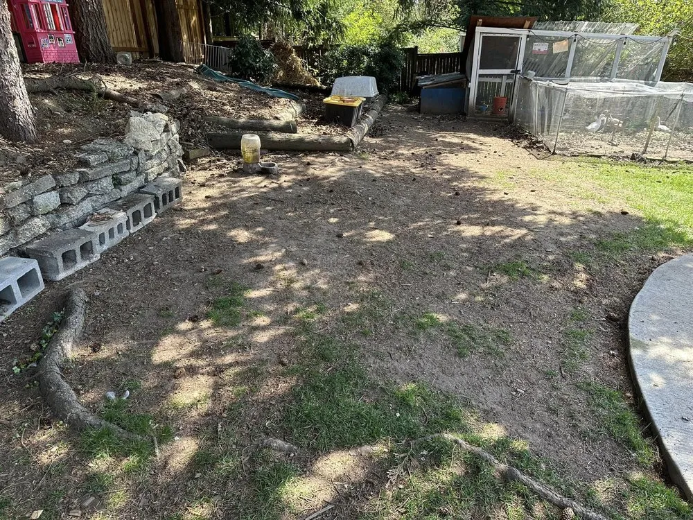 Expert landscaping services for year-round maintenance in Seattle, WA by LA landscape