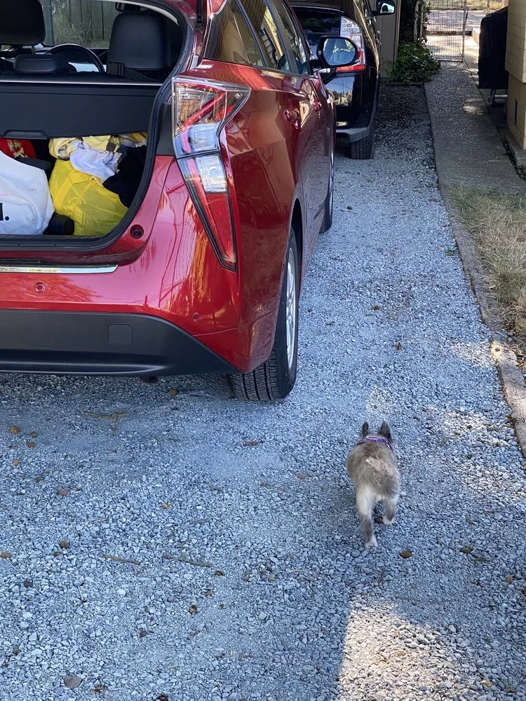 Trusted landscape installation with custom design across Seattle, WA - LA landscape