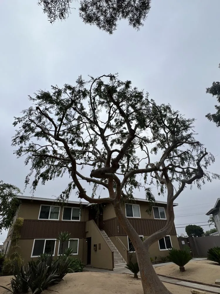 Reliable lawn mowing service with custom design in Costa Mesa, CA by LA Landscaping