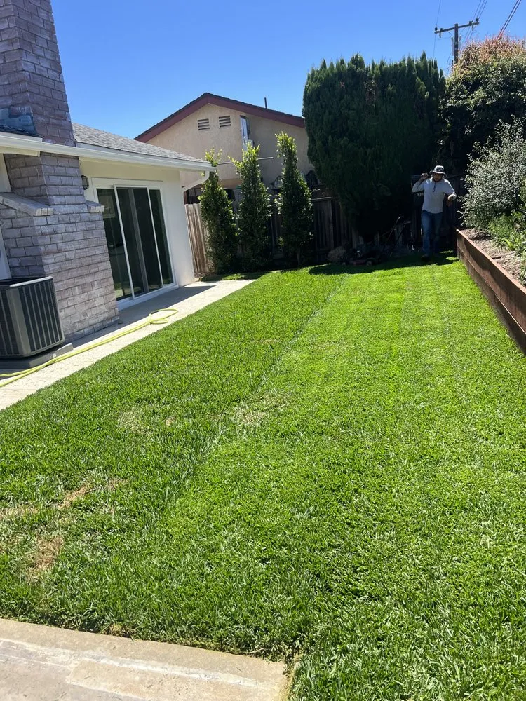 Reliable outdoor landscaping for residential properties across Costa Mesa, CA - LA Landscaping