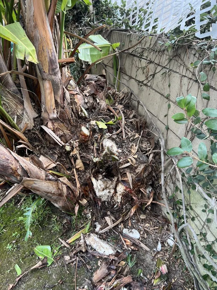 Trusted lawn mowing service for homes in Costa Mesa, CA by LA Landscaping