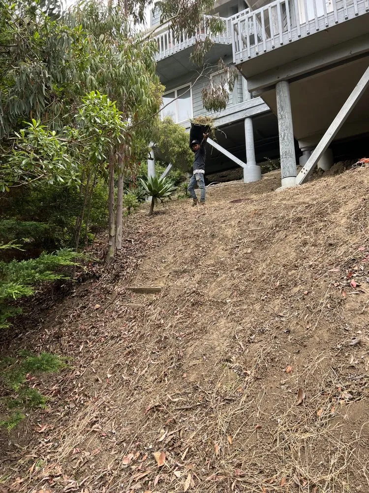 Trusted garden landscaping in Costa Mesa, CA by LA Landscaping