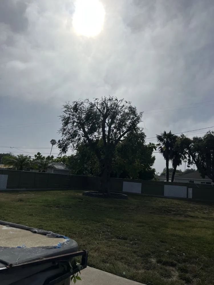 Top-rated landscape design experts serving Costa Mesa, CA - LA Landscaping