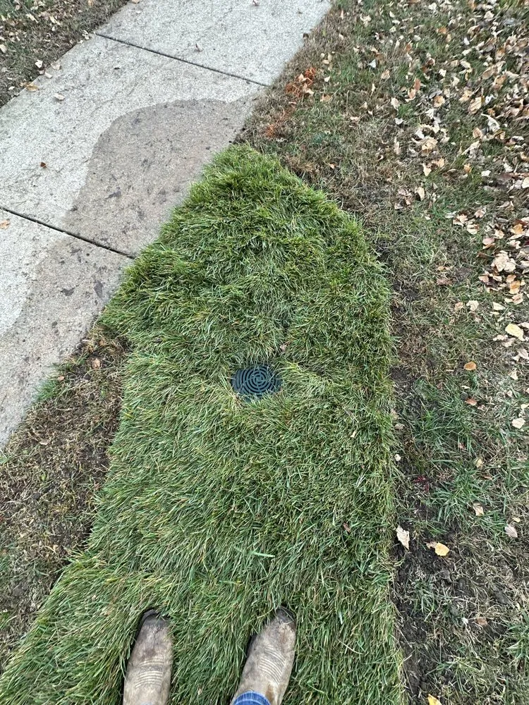 Trusted residential landscaping experts serving Independence, MO - La landscaping