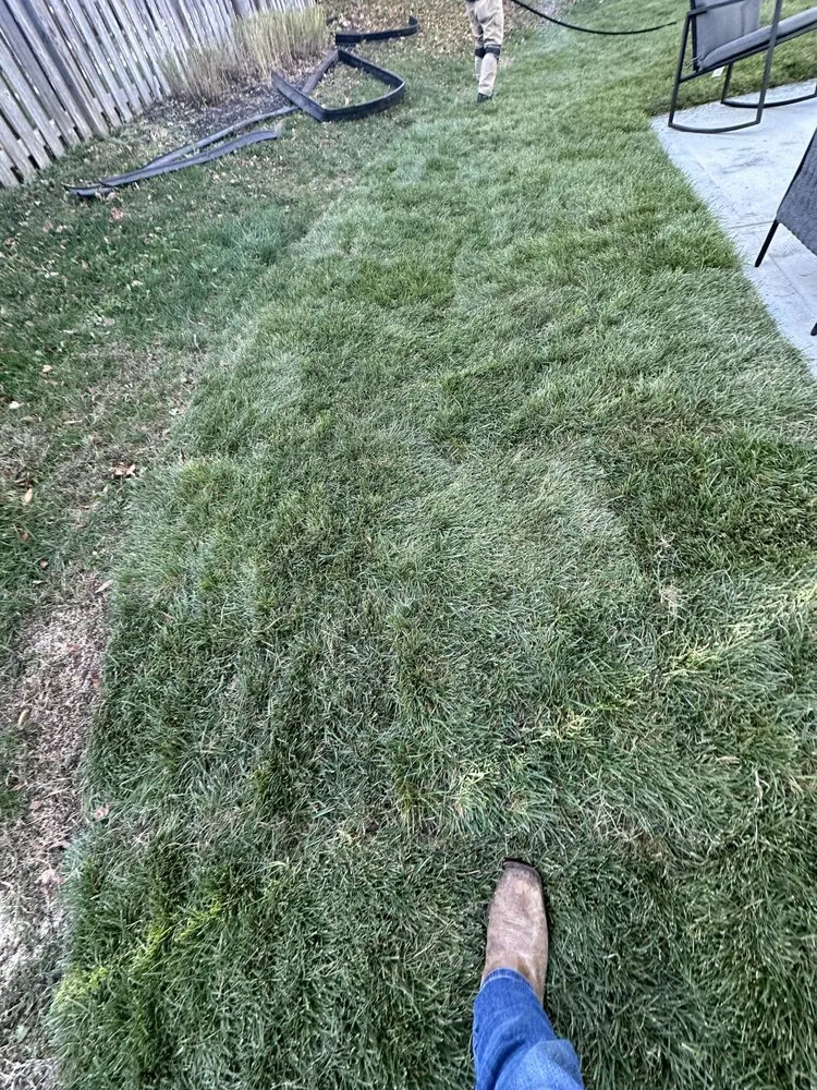 Affordable landscape design for year-round maintenance in Independence, MO by La landscaping