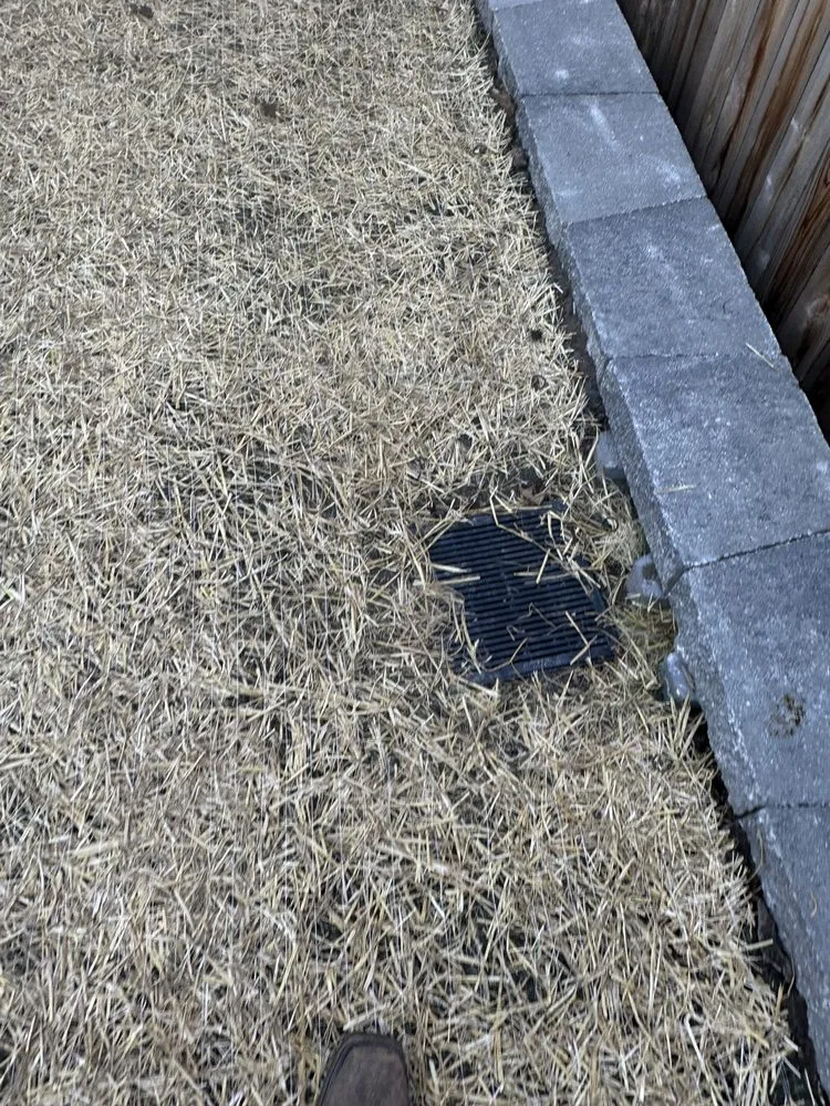 Professional yard maintenance in Independence, MO by La landscaping