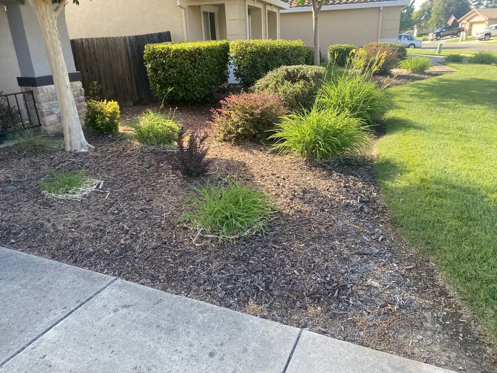 Affordable outdoor landscaping near you in Sacramento, CA by L&A Landscaping