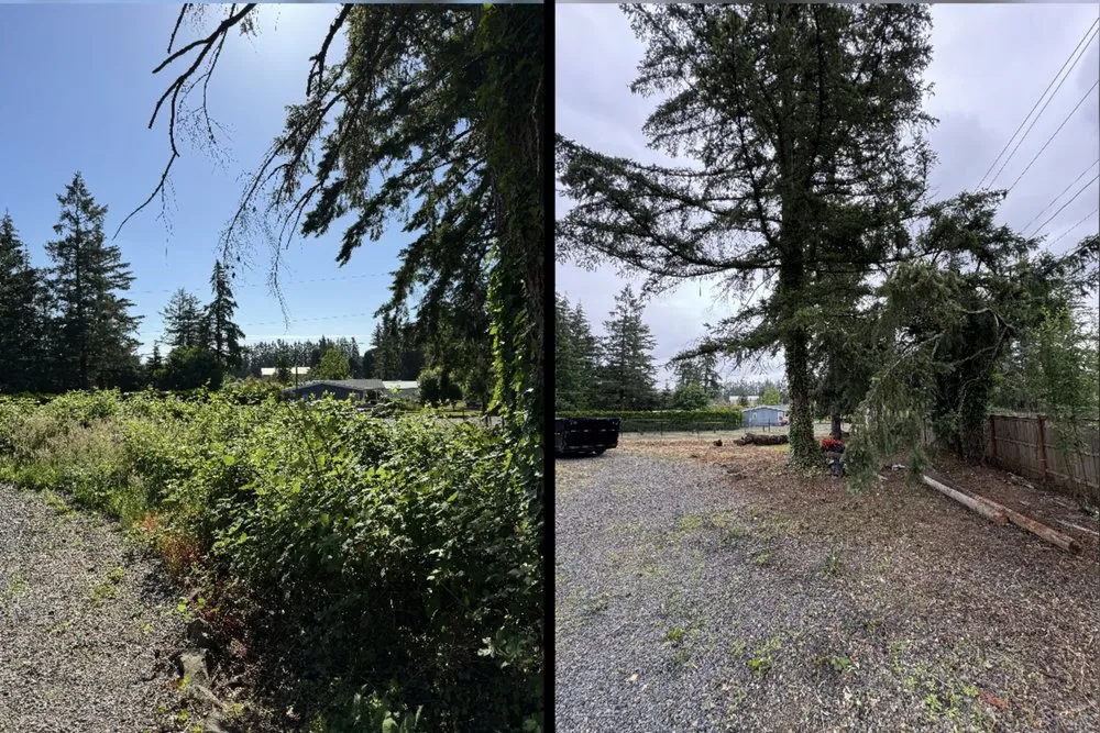 Trusted landscape installation for residential properties in Vancouver, WA by L&A Landscaping