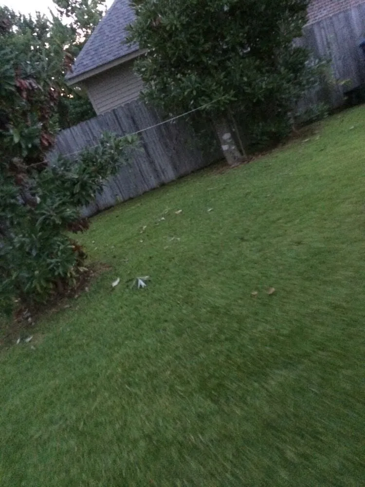 Trusted yard maintenance experts serving Hammond, LA - L&A Lawn and Tractor Service