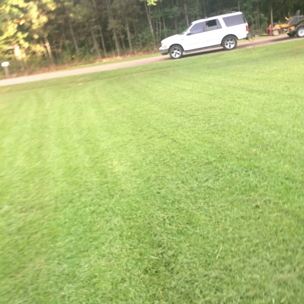 Reliable yard cleanup service in Hammond, LA - L&A Lawn and Tractor Service