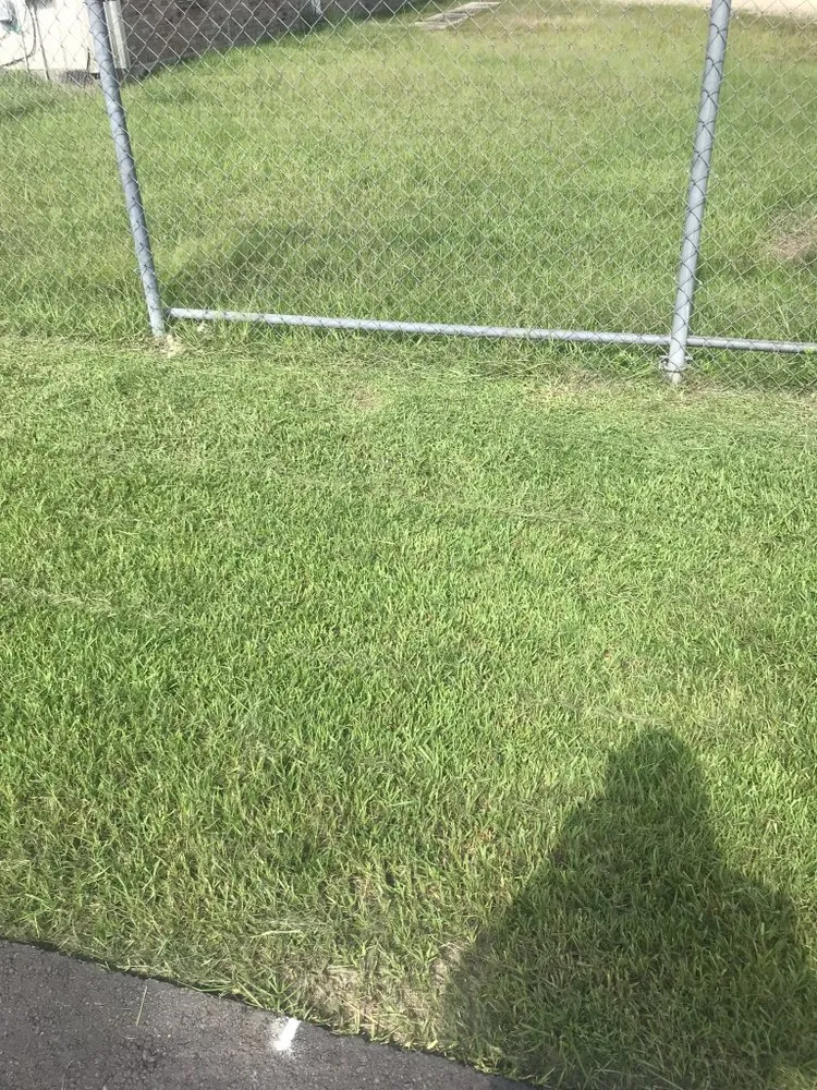 Trusted landscape design in Hammond, LA - L&A Lawn and Tractor Service