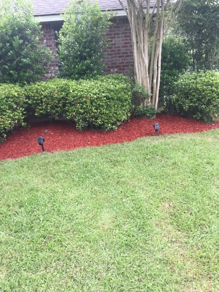 Local yard maintenance experts serving Hammond, LA - L&A Lawn and Tractor Service