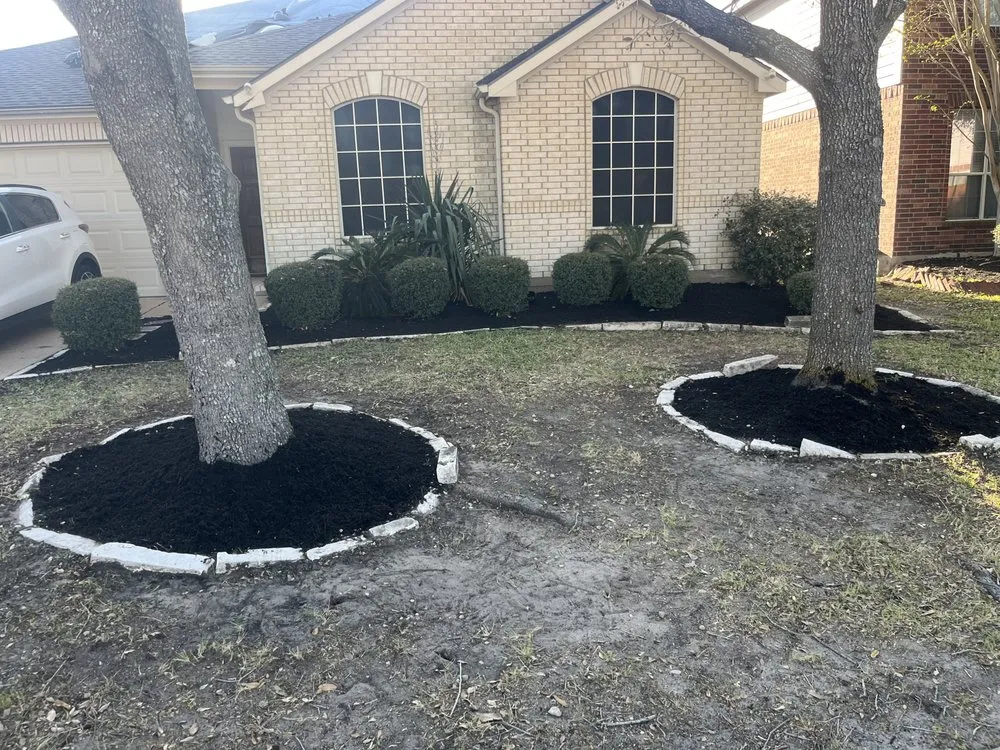 Expert yard cleanup service in Cleveland, TX by L&A Lawn Care