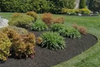Professional landscape design for beautiful yards in Ponchatoula, LA by LA Lawn Care