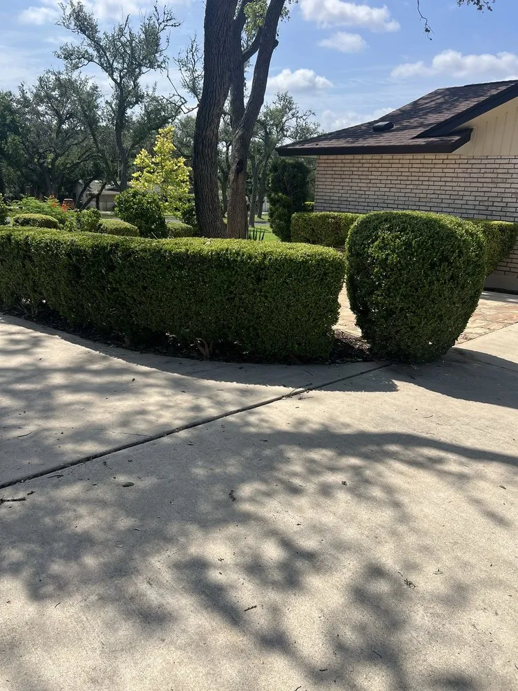 Custom lawn care service for homes in San Antonio, TX by L&A Lawn Service