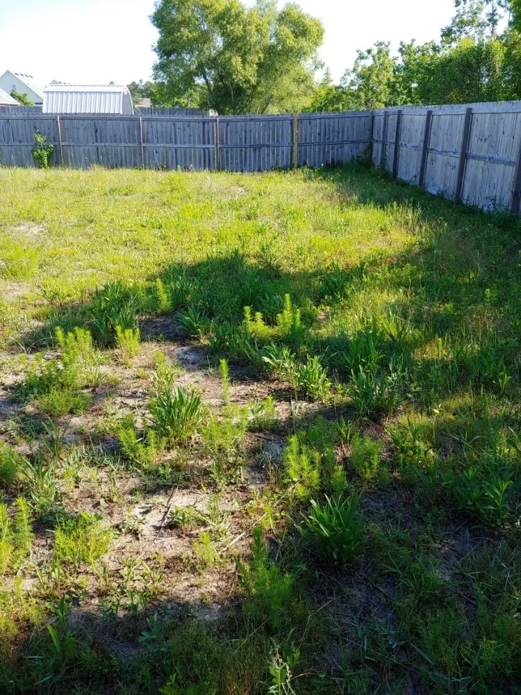 Top-rated landscape installation for outdoor upgrades across Freeport, FL - L&A Lawnz