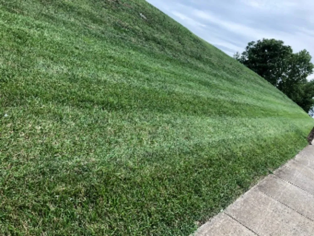 Top-rated landscape installation for year-round maintenance across Freeport, FL - L&A Lawnz