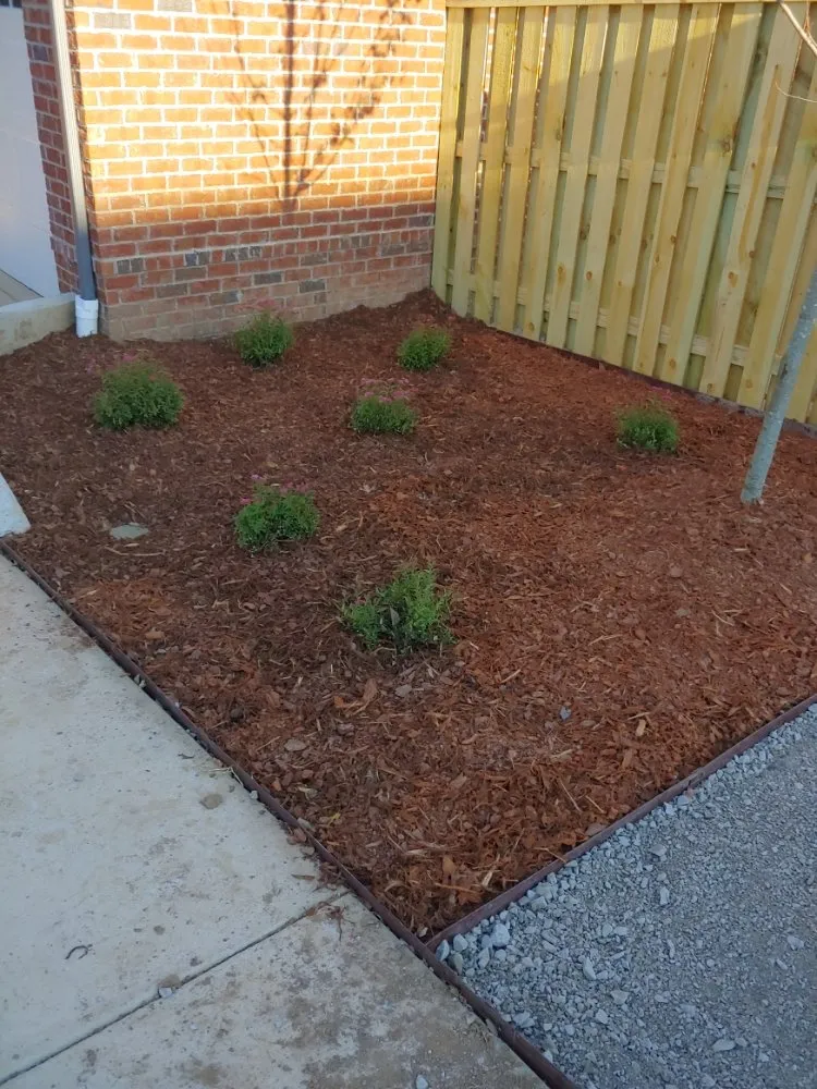 Local yard cleanup service in Freeport, FL - L&A Lawnz