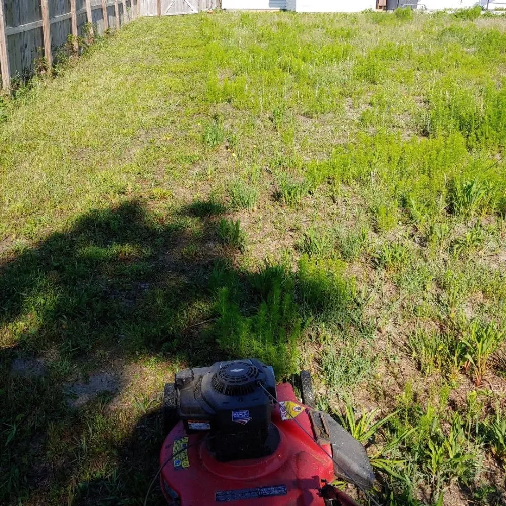 Expert outdoor landscaping experts serving Freeport, FL - L&A Lawnz